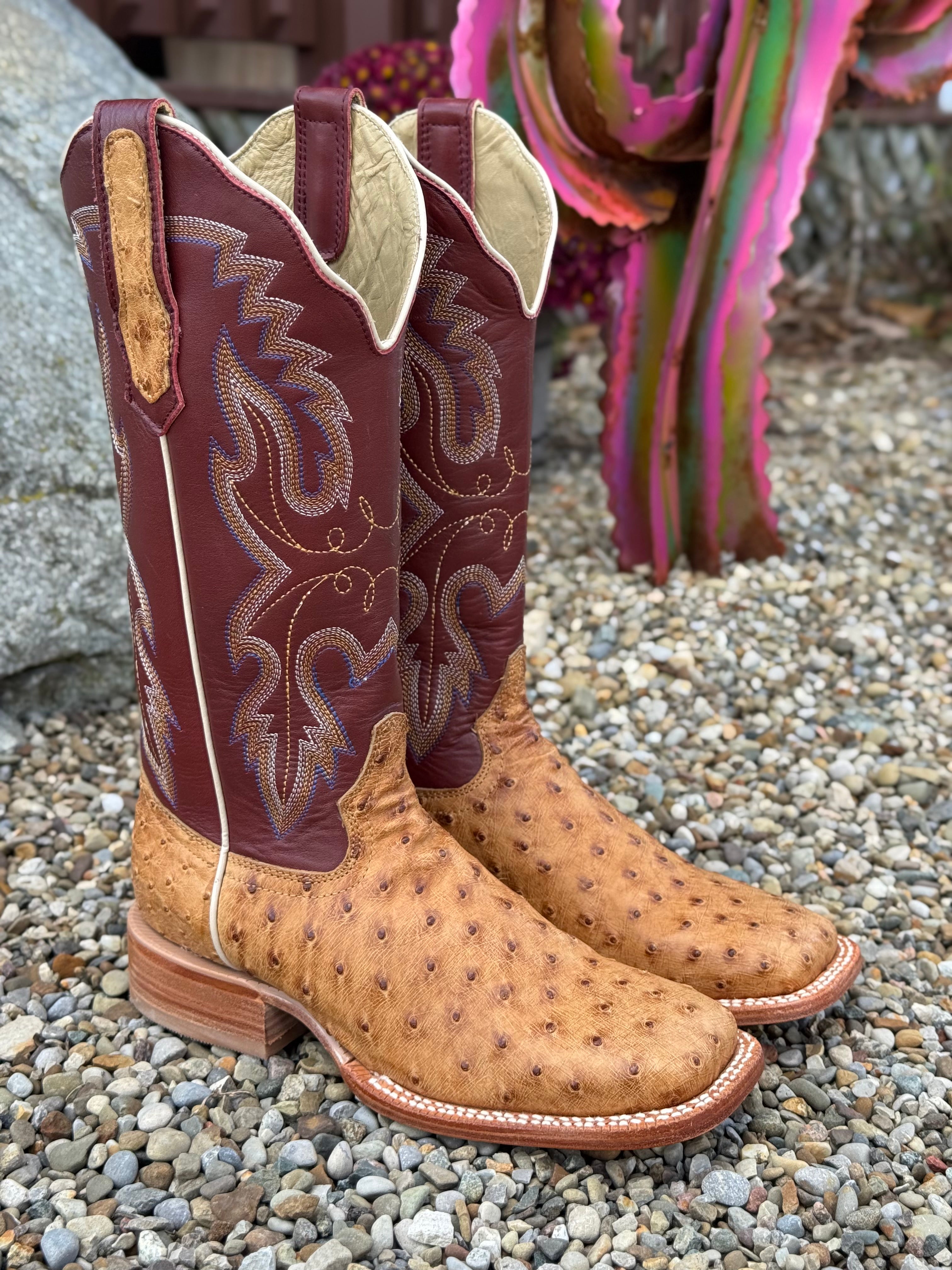 R. Watson Women's Antique Saddle Bruciato Full Quill Ostrich