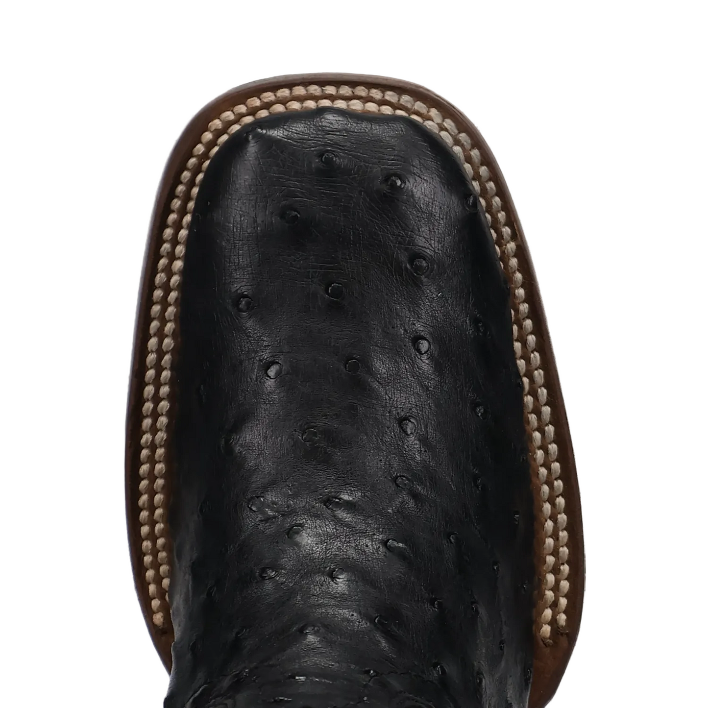 Dan Post Women's Reese Black Full Quill Ostrich Broad Square Toe Cowgirl Boots DP5284