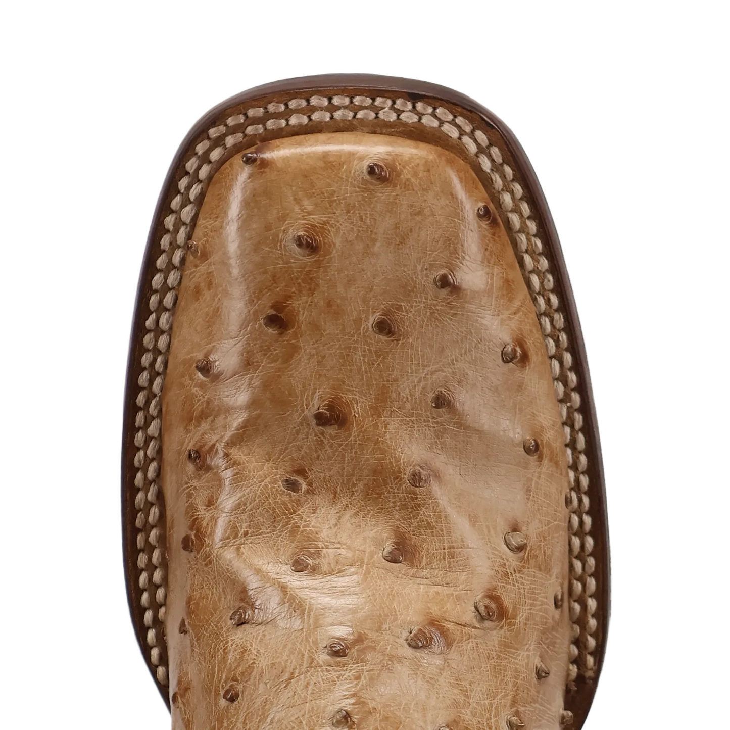 Dan Post Women's Reese Tan Full Quill Ostrich Broad Square Toe Cowgirl Boots DP5285