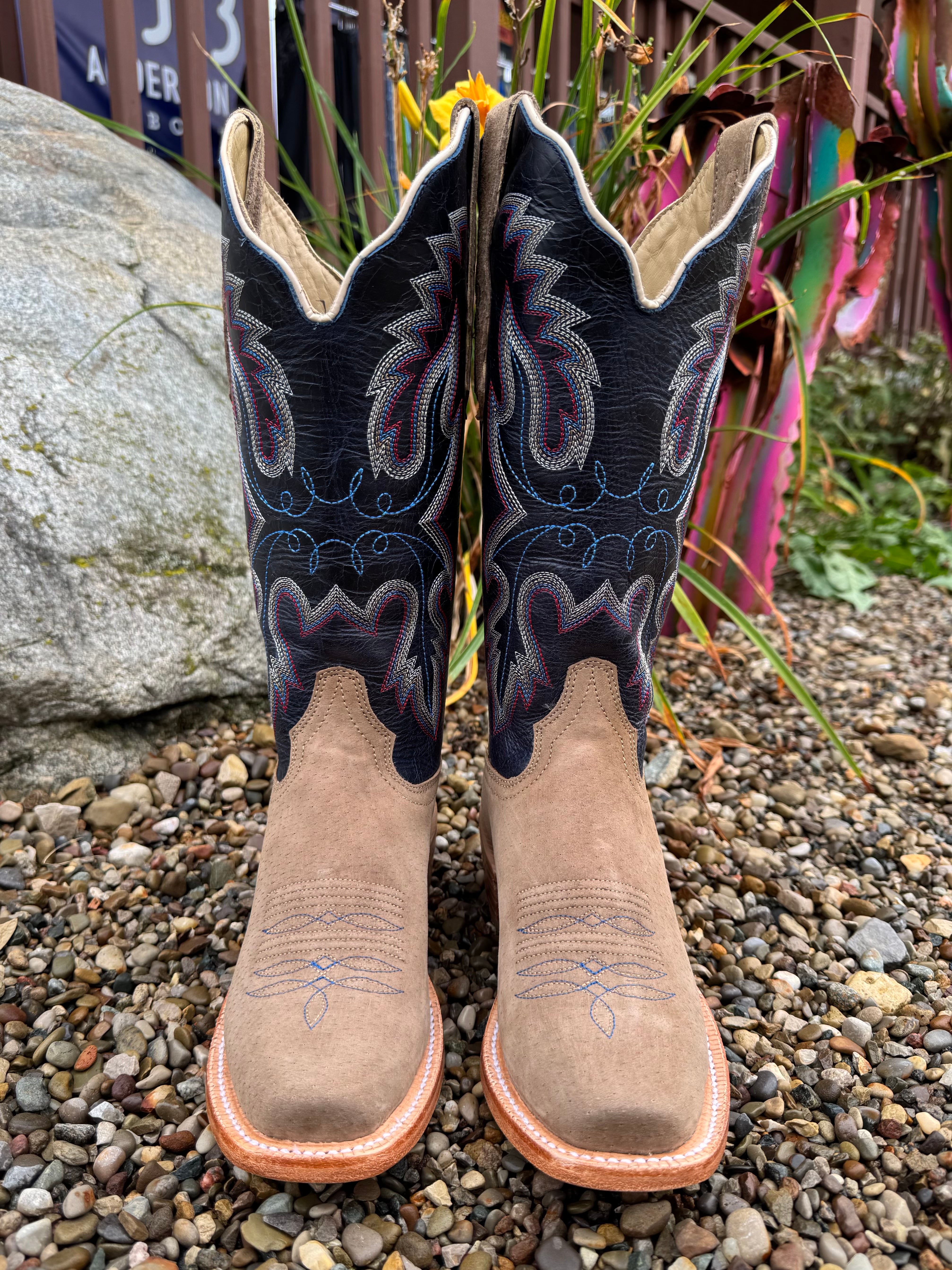 R. Watson Women's Cafe Boar Roughout & Navy Sinatra Cowhide Top