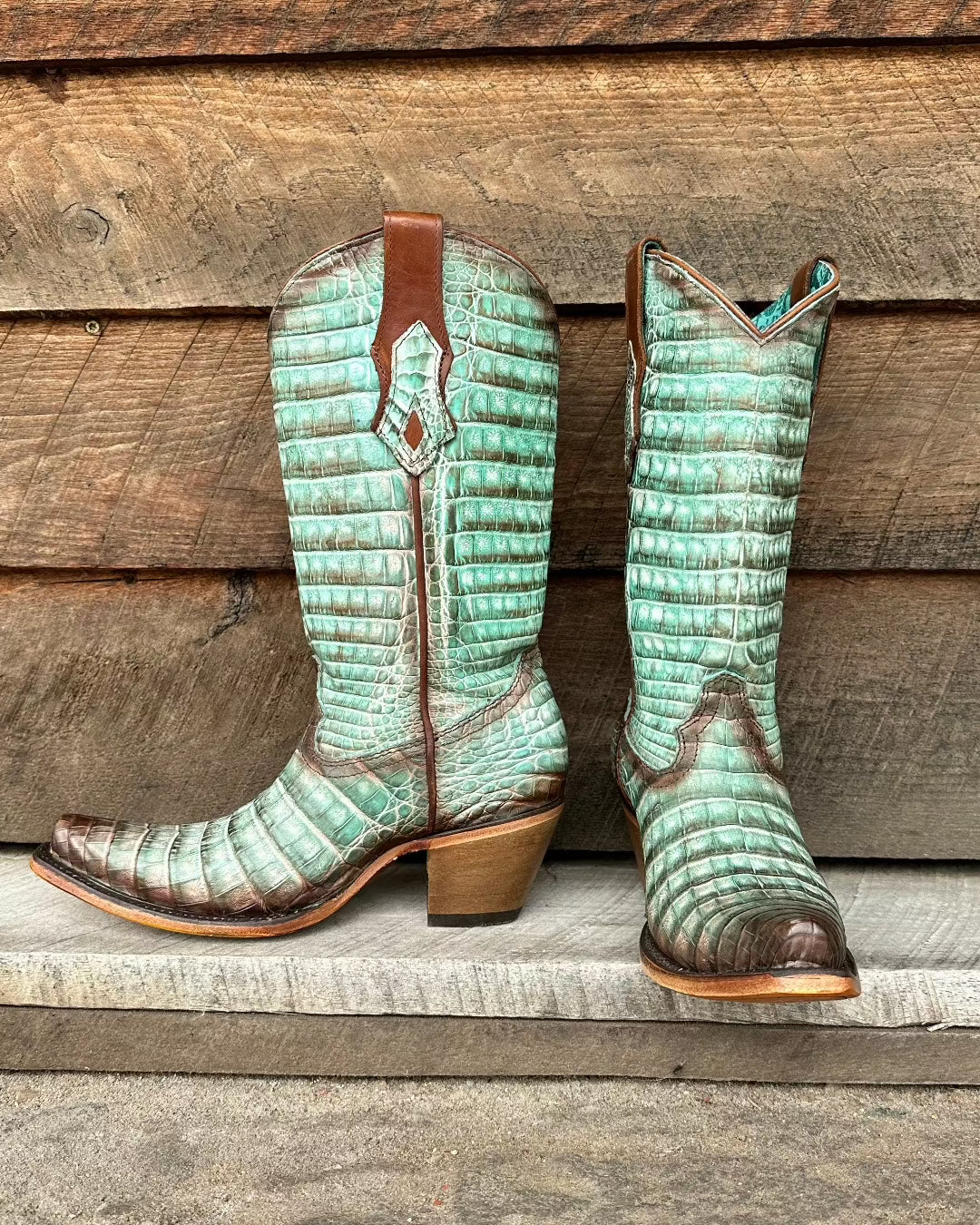 Women's caiman boots hotsell