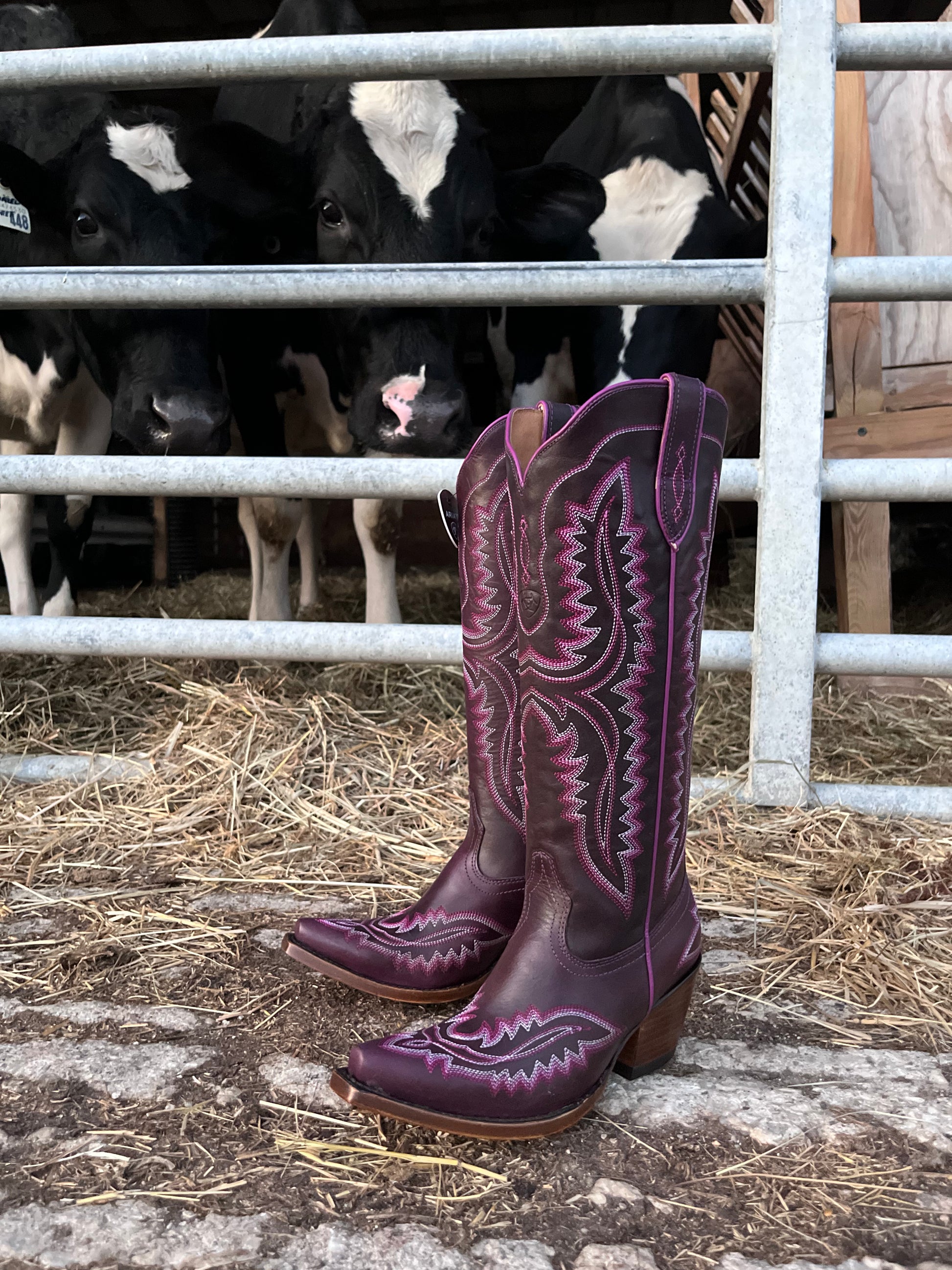 Ariat Women s Casanova Deep Amethyst Western Cowgirl Boots 10053649 Painted Cowgirl Western Store