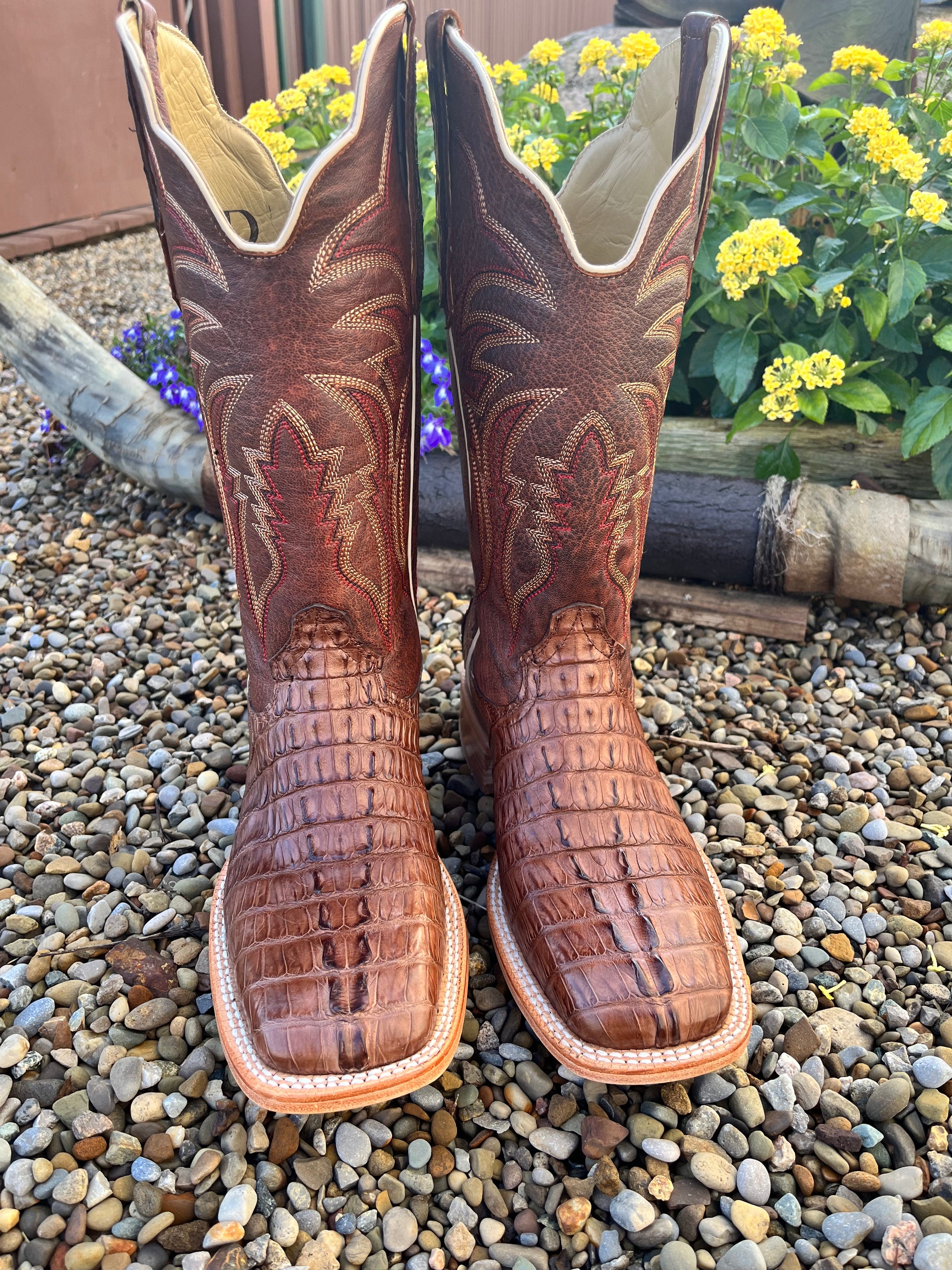 Alligator tail 2025 cowboy boots
