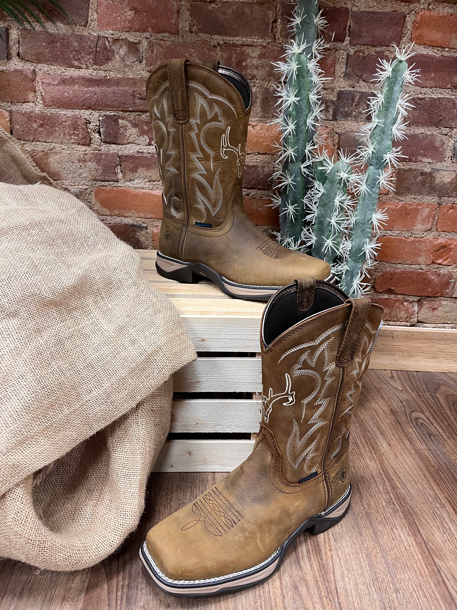 Really 2025 cheap boots