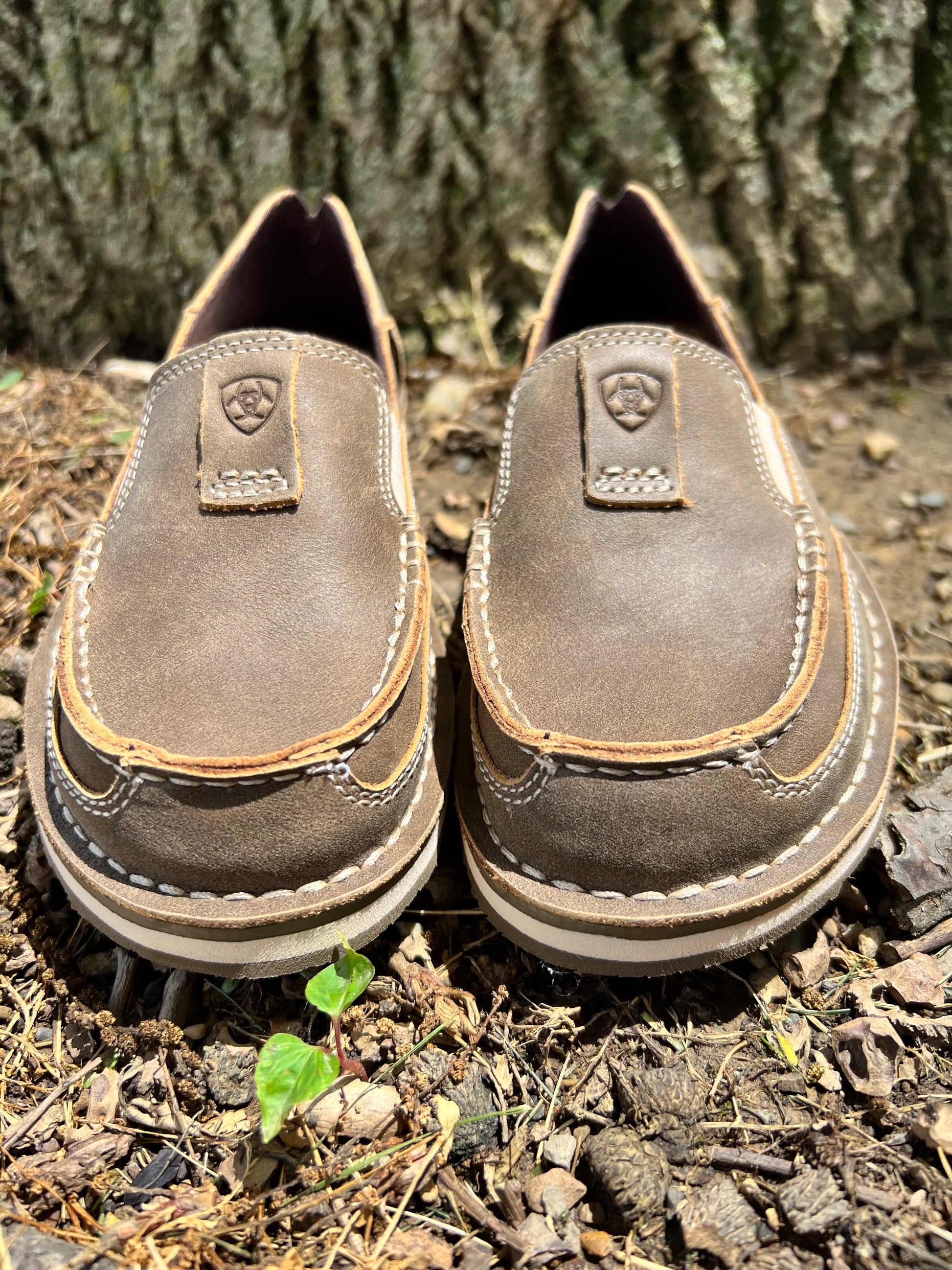 Ariat 2025 men's cruiser