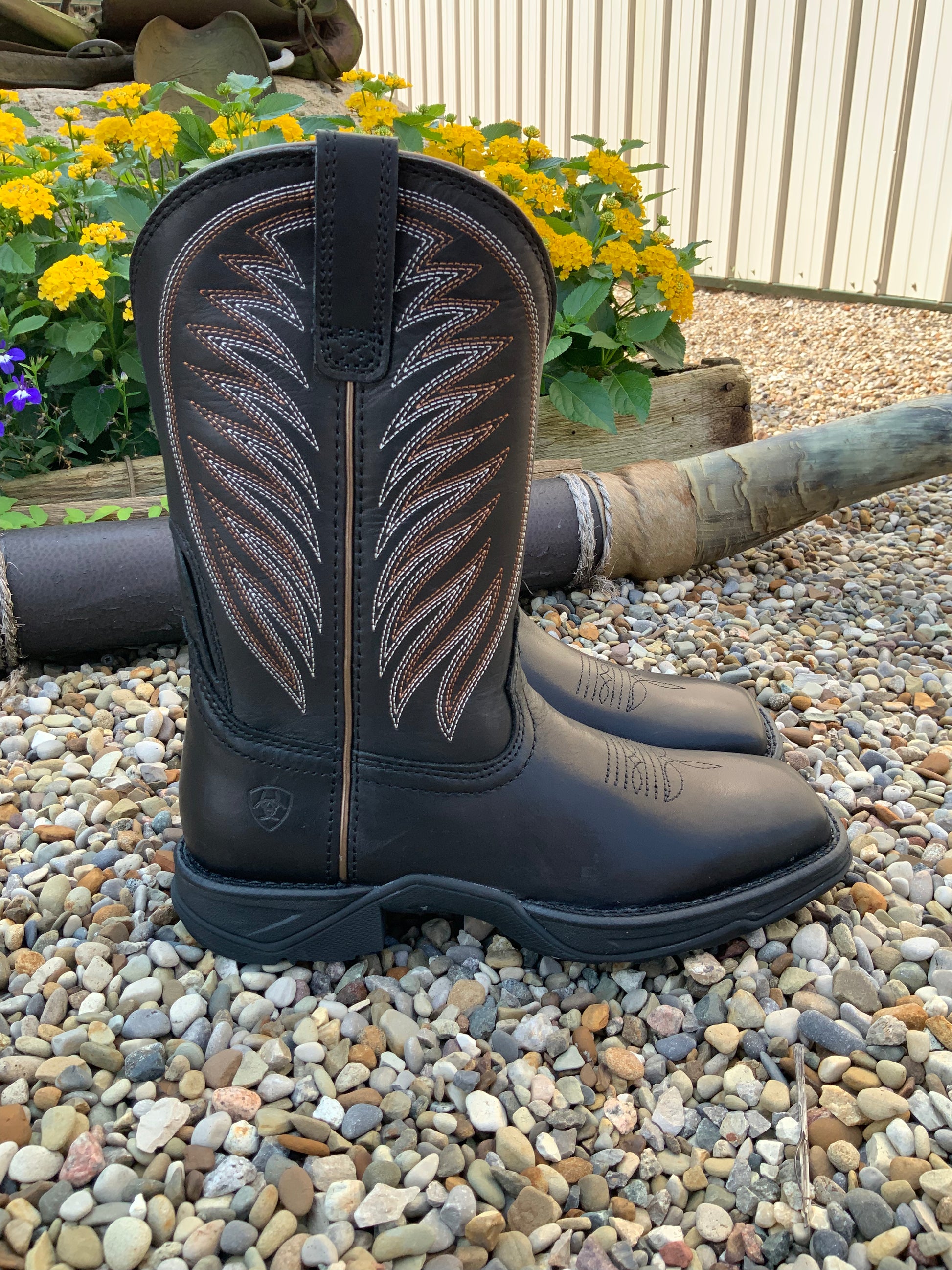 Ariat women's steel toe cowboy boots online