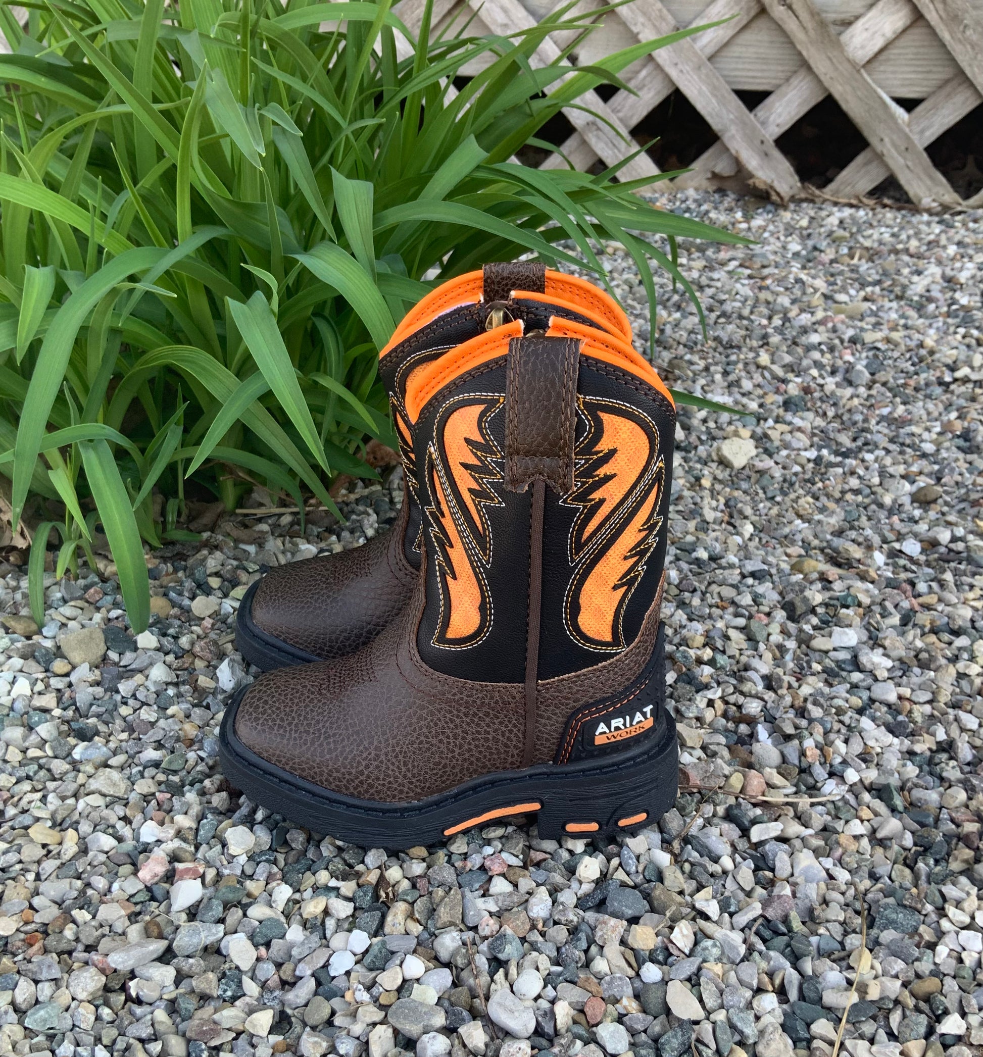 Ariat 2025 intrepid boots